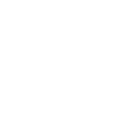 Icono de Auto